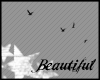 [b]Birds