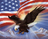 Eagle Flag Backdrop