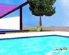 serenity pool room