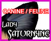 Black Canine Feline Ears