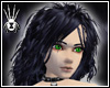 Raven Witch Hazel