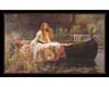 Lady of Shalott