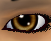 Stare ~Brown~