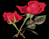 rose glitter