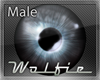 Twilight Eyes