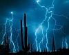 Drums Of Thunder