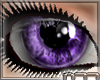 [n77] DeepInMyEyes Purpl