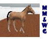 *MM* Dun Foal