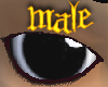 PHz ~ Black Dolls Eyes M