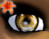 Prism Eyes Gold Digger