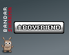 (BS) BOYFRIEND in silver