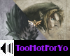 Zelda / Intro Twillight
