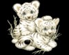 baby cubs