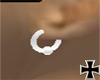 [RC] Silverloops
