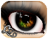 [L] Hazel i-Fever