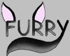Black Wolf Furry
