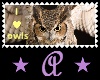 I <3 Owls long stamp