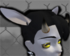 Goat Ears