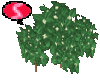 S. Flower bush 02