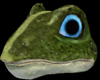 Frog Head