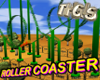Rollercoaster Track