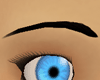 Black Eyebrows