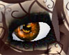 Hallow eyes