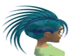 Sea Hawk