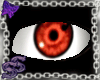 Copy Wheel Eye Bundle(F)
