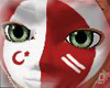 Turkish Fan