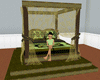 !ML EmeraldDreamsCanopy2
