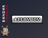 (BS) PLAYBOY sticker