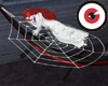 Black widow hammock