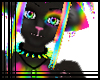 BlackRainbow Kitten