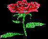 Rose Glitter