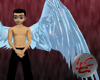 IceWings