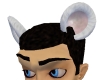 Rat/Mouse Ears