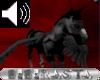 BBR black warriors horse