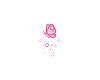 Pink Butterfly
