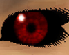 Red Eyes, Black Globe