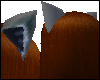 Black Wolf Ears for Guys