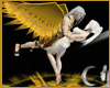 )o( LightAngel magiKpose
