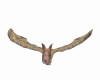Pet Vampire Bat