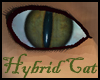 Hybrid Hazel Cat-Eyes
