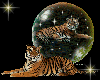Tigerglobe10