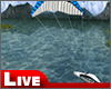 !live-Taxiing Ship