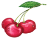 Cherries