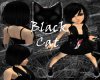 Black CHISUZU!