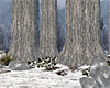 Snowy Forest