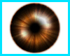 [D] brown eyes